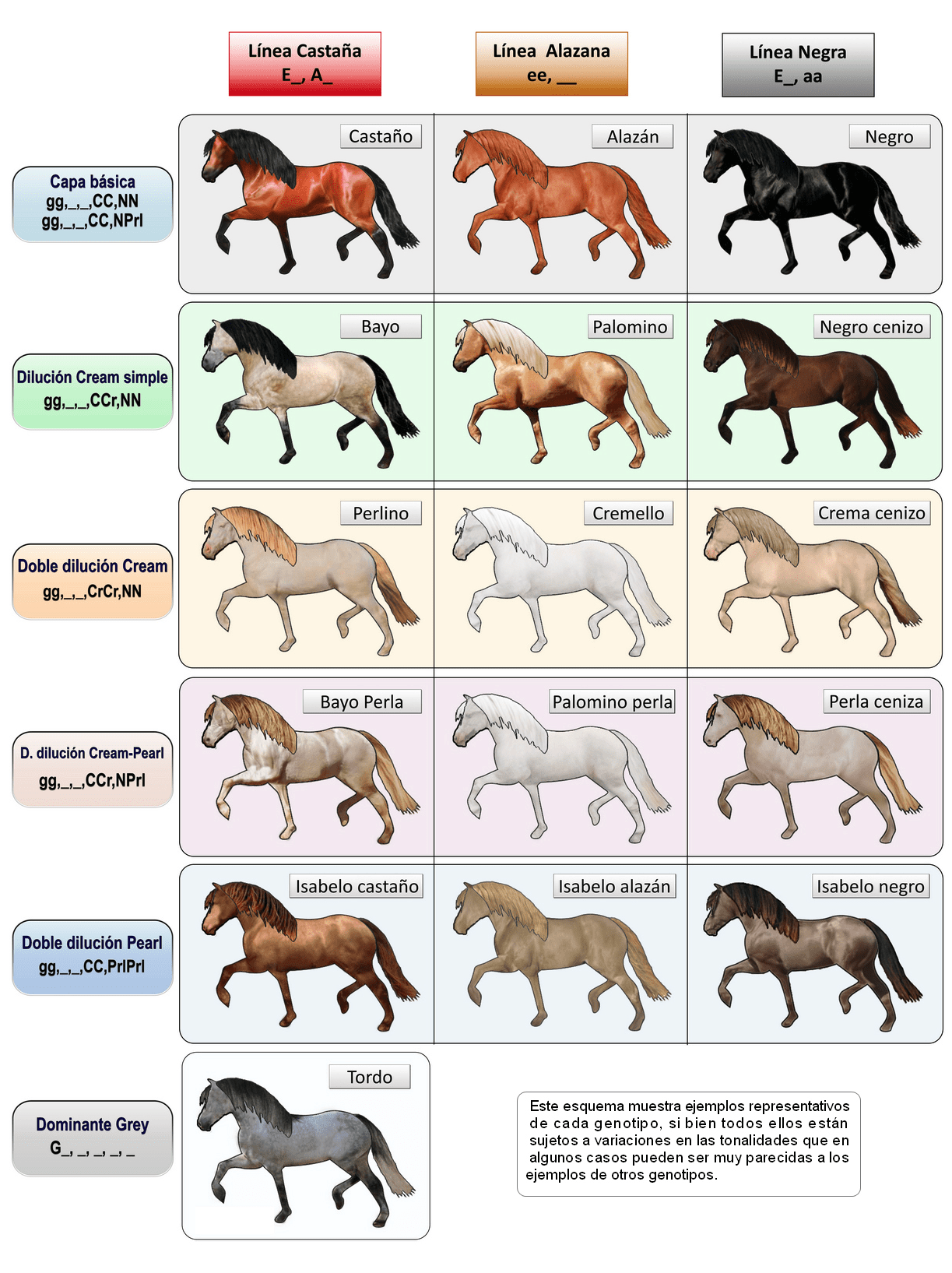 Capas Diluidas